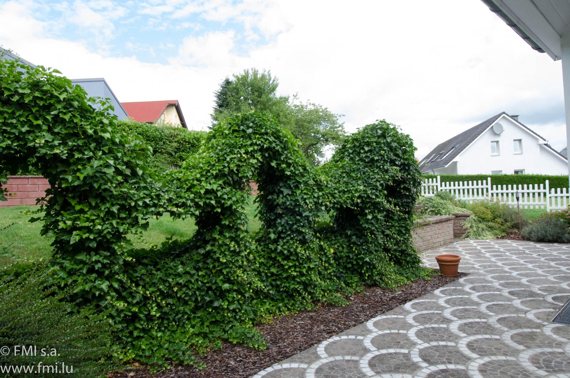 Image 29